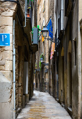 Wall Mural - Old narrow street in Barcelona, Catalonia, Spain. Architecture and landmark of Barcelona. Cozy cityscape of Barcelona