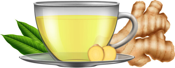 Wall Mural - A cup of hot ginger tea with gninger root, slices and green leaves isolated on whote background. Photo -realistic vector illustration.