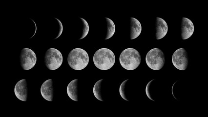 Wall Mural - all phases of moon: waning crescent, third quarter, waning gibbous, full moon, waxing gibbous, first