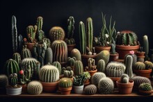 Assorted Cactus Species. Generative AI