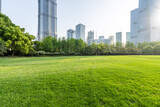 Fototapeta Na sufit - city skyline with green lawn