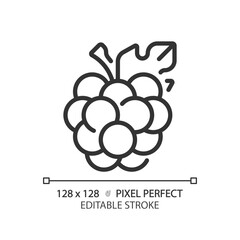 Wall Mural - Berries pixel perfect linear icon. Fresh blackberry. Healthy food. Summer fruit. Wellness lifestyle. Thin line illustration. Contour symbol. Vector outline drawing. Editable stroke