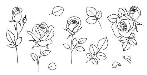 Aufkleber - Set of one line drawing. Decorative rose with bud and petal. Hand drawn floral elements for tattoo or sticker design. Vector stock illustration.	