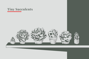 Wall Mural - hand drawn vintage succulent collection set