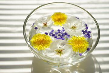 Wall Mural - White blooming flowers, yellow dandelions and purple seeds in a glass bowl with water on a white sunny table