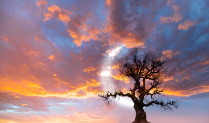 Fototapete - Lone strange tree with crescent moon at amazing sunset