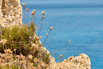 beaches in the island of Lefkada 6