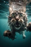 Fototapeta Morze - Portrait of a curious gray bengal cat diving underwater. Generative AI art.