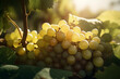 white wine grapes, created by a neural network, Generative AI technology
