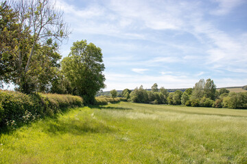 Summertime landscape in the English countryside.