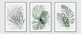 Fototapeta Boho - Botanical wall art vector set. Water color boho foliage line art drawing with abstract shape. Abstract Plant Art design for print, cover, wallpaper, Minimal and natural wall art.
