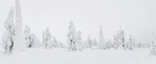 Winter In Riisitunturi National Park, Lapland, Finland
