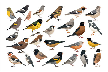 Canvas Print - Common birds. Isolated on background. Cartoon . Generative AI