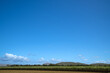 Green sugar cane fields, hills and lage blue sky in Queensland