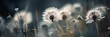 abstrakte löwenzahn im wind. eine blumenwiese mit vielen bunten blüten (generative ai)