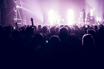 crowd at live concert music festival