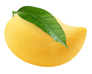 Wall Mural - yellow mango isolated on white background, full depth of field