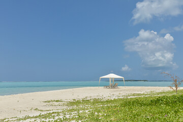 Canvas Print - Untouched beach