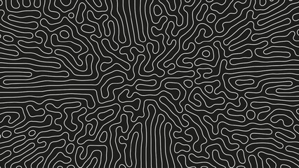 Complicated Thin Lines Pattern Vector Psychedelic Crazy Art Abstract Background. Intricate Ripple Structure Panoramic Black White Wallpaper. Hypnotic Abstraction. Line Art Graphic Modern Illustration