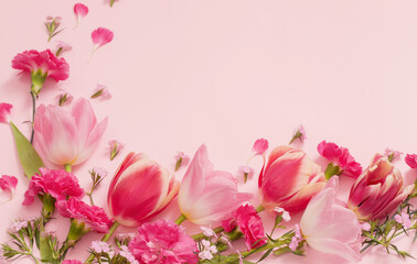 Wall Mural - beautiful spring flowers on pink background