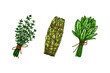 © Kseniia - Herbal bunches. Set of hand drawn leaf seasonings. Vector illustration in sketch style