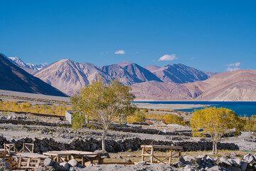 Wall Mural - beautiful scenery of Pangong lake, blue lake water, blue sky, mountain surrounded at Pagong Tso, Leh, Ladakh, Jammu and Kashmir, India	