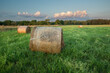 Round bales of hay lying on a green meadow