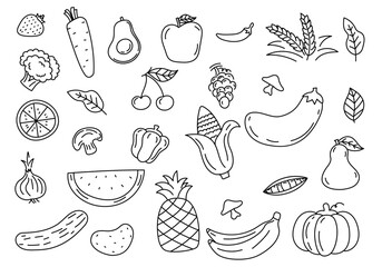 Set of fruits and vegetables vector illustration in cute doodle style. Vegan foods vector collection