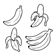 Wall Mural - Set of banana vector illustrations in hand-drawn style isolated on white background. Banana doodle