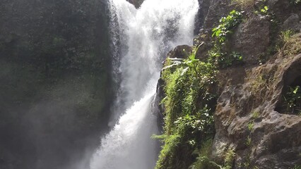 Wall Mural - Nature of Indonesia
