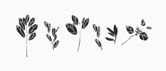 Hand drawn vector abstract graphic illustrations silhouette collection set with bohemian magic black art of natural flowers and plants,leaves,wreath,herb,botanical floral garden plants silhouette.