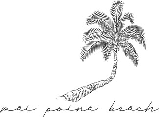A hand drawn vector illustration of a curved palm tree on the Mai Poina Beach Maui Hawaii