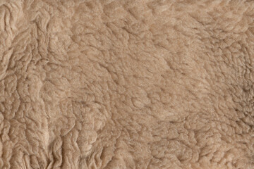 Beige wool texture background. plush. mohair. fur