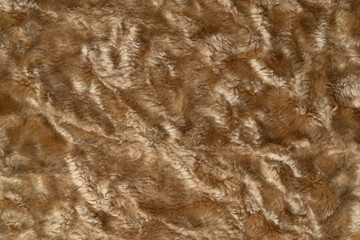 Wall Mural - Brown wool texture background. plush. mohair. fur