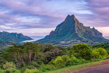 Wall Mural - mount rotui on moorea island, french polynesia