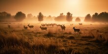 A Herd Of Deer Grazing In A Meadow At Dawn, Concept Of Wildlife Conservation, Created With Generative AI Technology