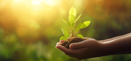 hands holding small plant growing from soil. on nature green bokeh background. earth day concept. co