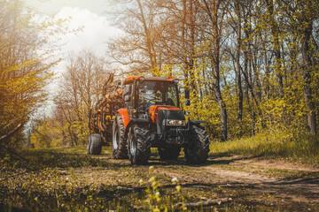 Wall Mural - Forwarder tractor for wood transport. Tractor with trailer loaded with logs. Forestry tractor or forestry tractor for harvesting wood in the forest. Spring forest.