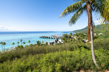 Wall Mural - summer vacation on moorea island, french polynesia