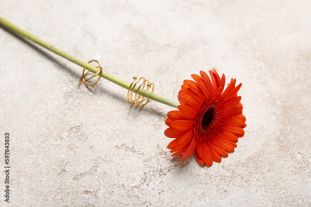 Gerbera flower with golden rings on grunge background
