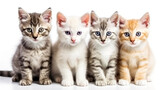 Fototapeta Koty - group of small kittens isolated on white background. AI Generated