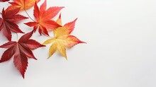 Effective Autumn Leaves In Shades Of Red Color On White Background. Abstract Illustration With Copy-space. Generative AI Composite. 
