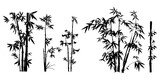 Fototapeta Sypialnia - bamboo silhouettes