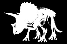 White Triceratops Dinosaur Skeleton Vector Illustration