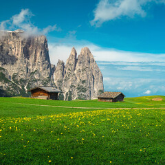 Wall Mural - Yellow dandelions on the meadows and high cliffs in background