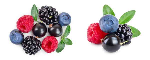 Wall Mural - mix of blackberry blueberry raspberry isolated on white background. Top view. Flat lay pattern