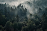 Fototapeta Las - Misty Dawn in the Enchanted Forest. AI generated.