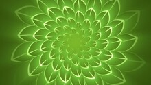 Eco Green Graphic Leaves Spiral Animated Background