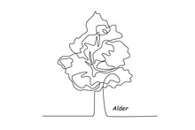 Single One Line Drawing Alder Tree. Tree Concept. Continuous Line Draw Design Graphic Vector Illustration.