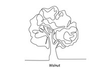 Single One Line Drawing Walnut Tree. Tree Concept. Continuous Line Draw Design Graphic Vector Illustration.